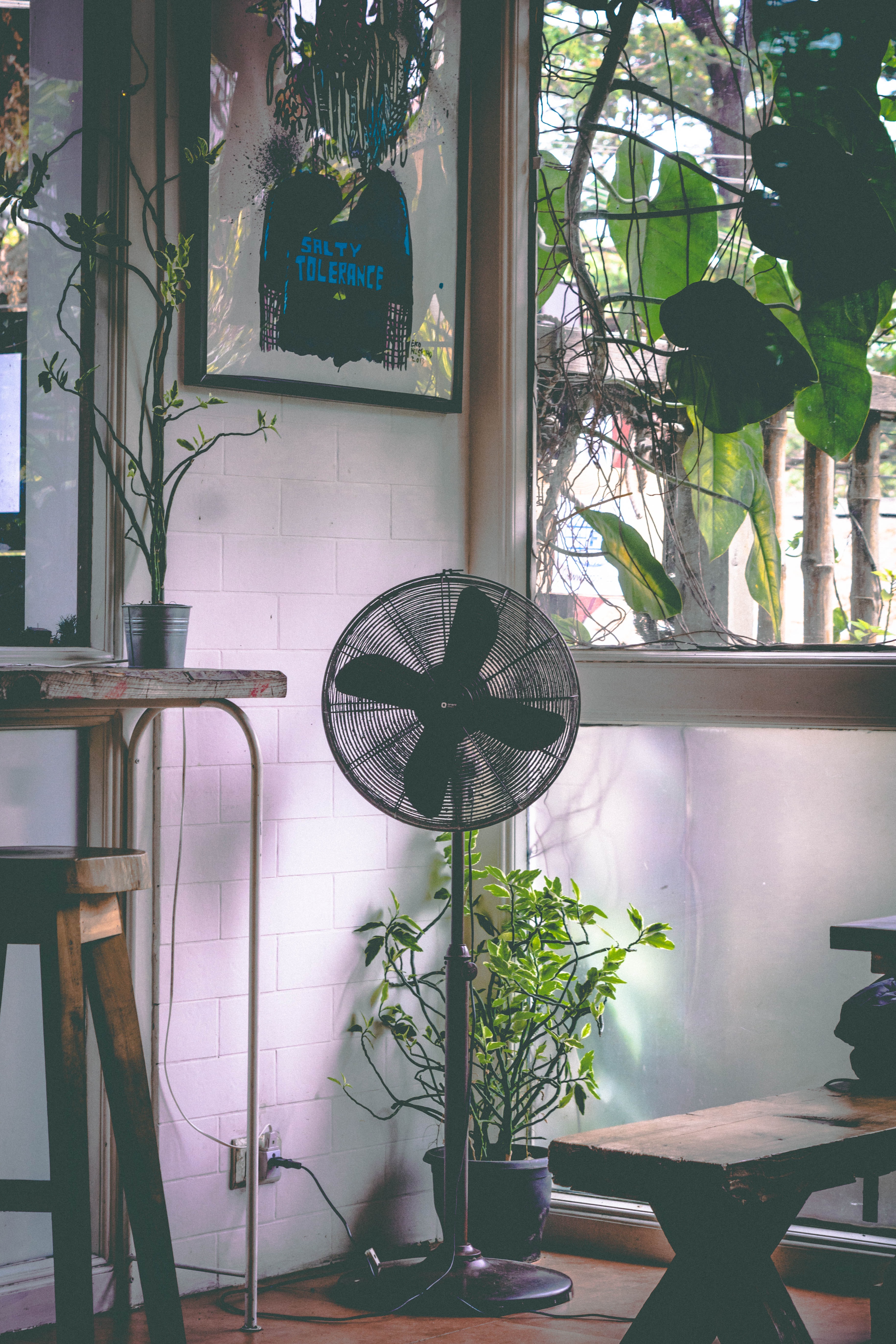 top standing fan